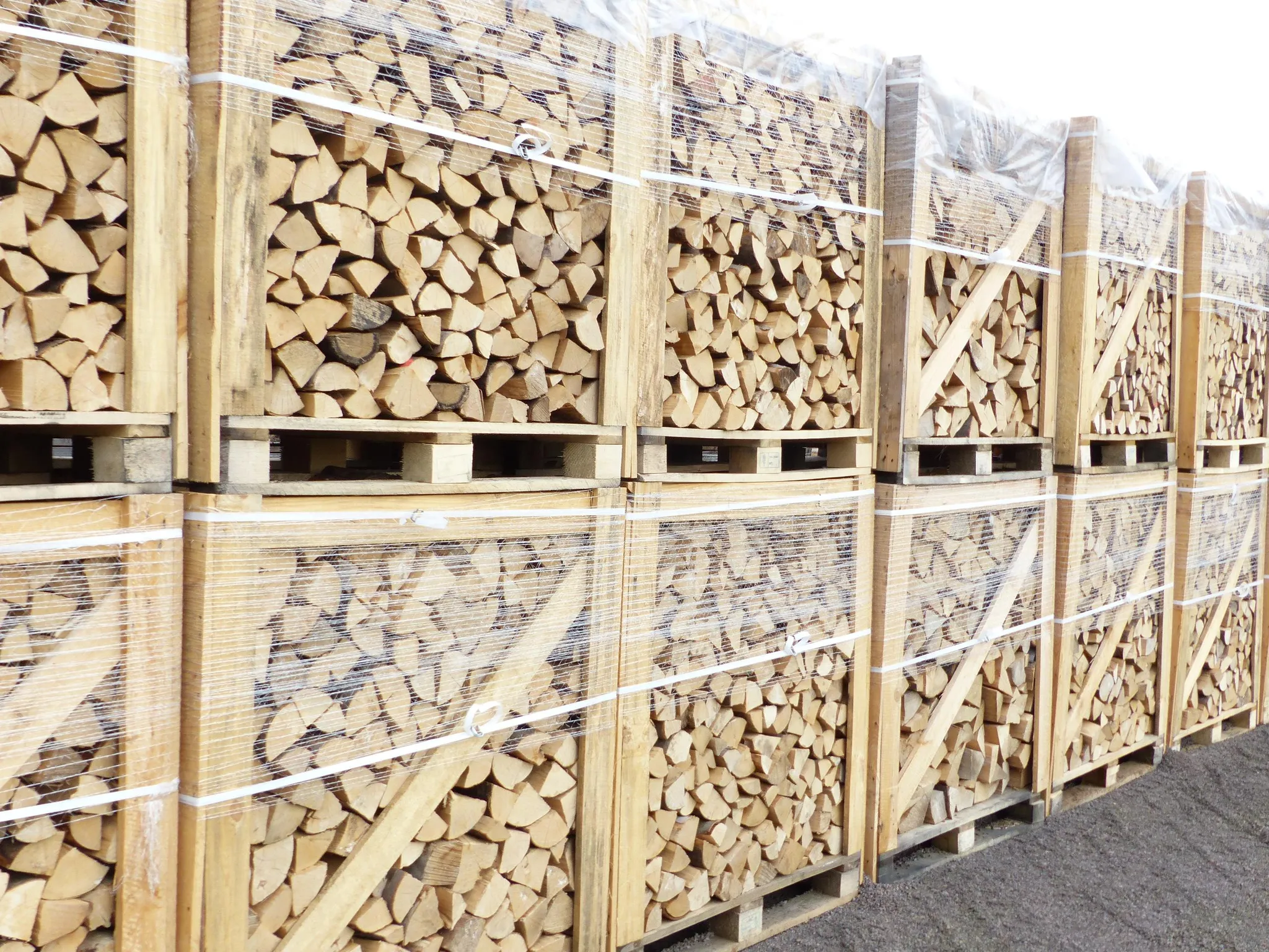 1,6 SRM Kaminholz Brennholz Buche Trocken, Sofort Verwendbar, 25Cm – Bild 3
