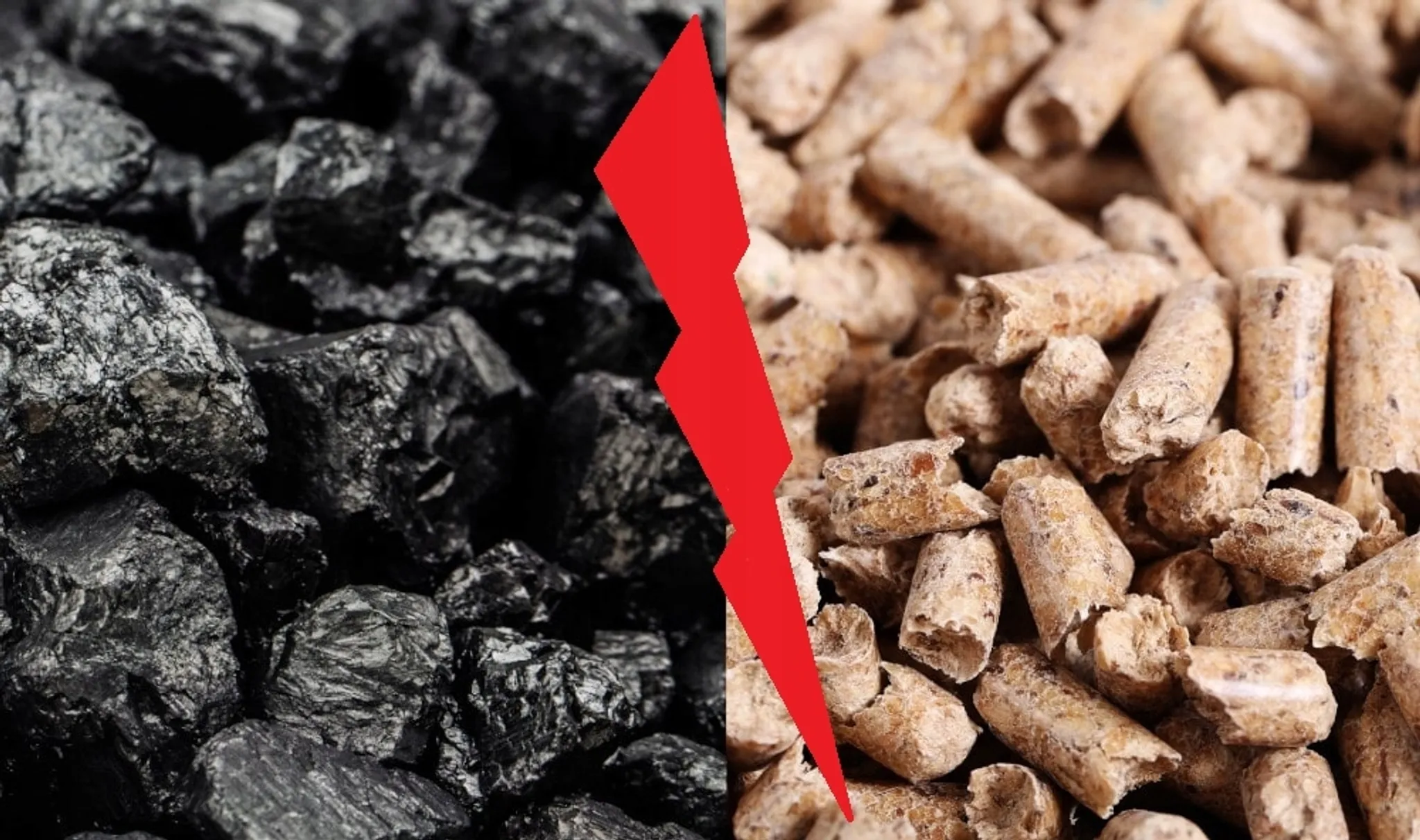 Olczyk Pelletpalette 65 Säcke 975 kg er Holzbrennstoff – Bild 5